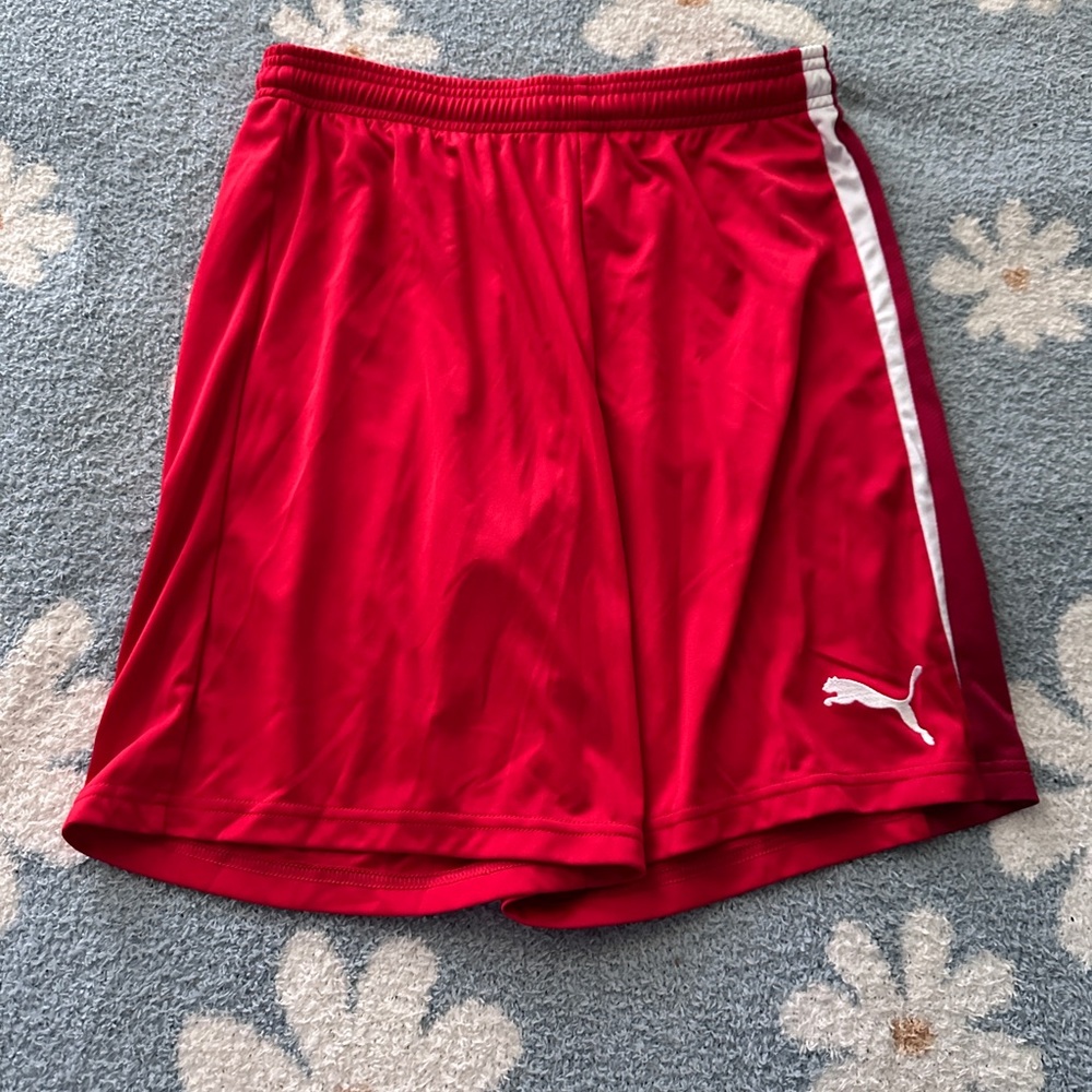 Puma Soccer shorts Small